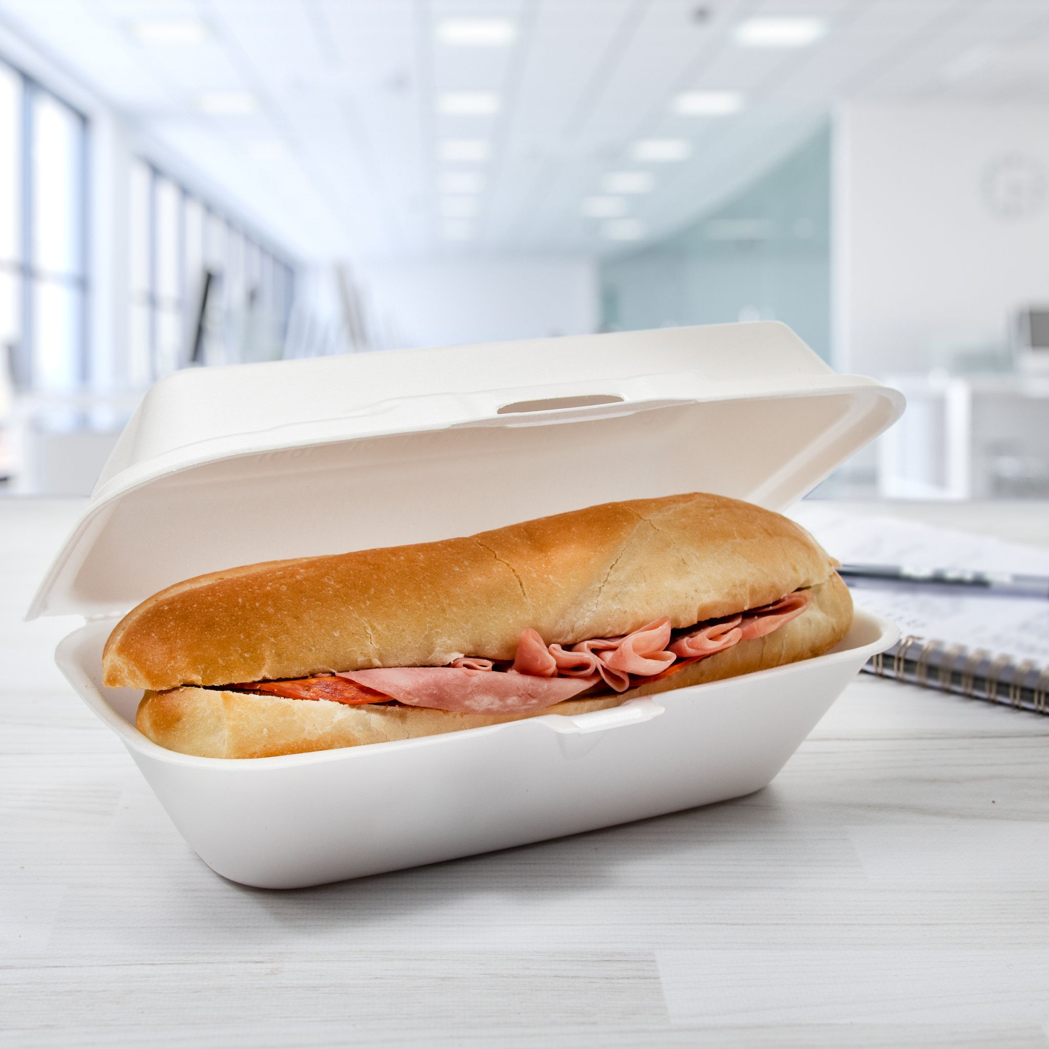 Dart® Hoagie & Sub Take-Out Container Hinged 9.8X5.2X3.3 IN XPS