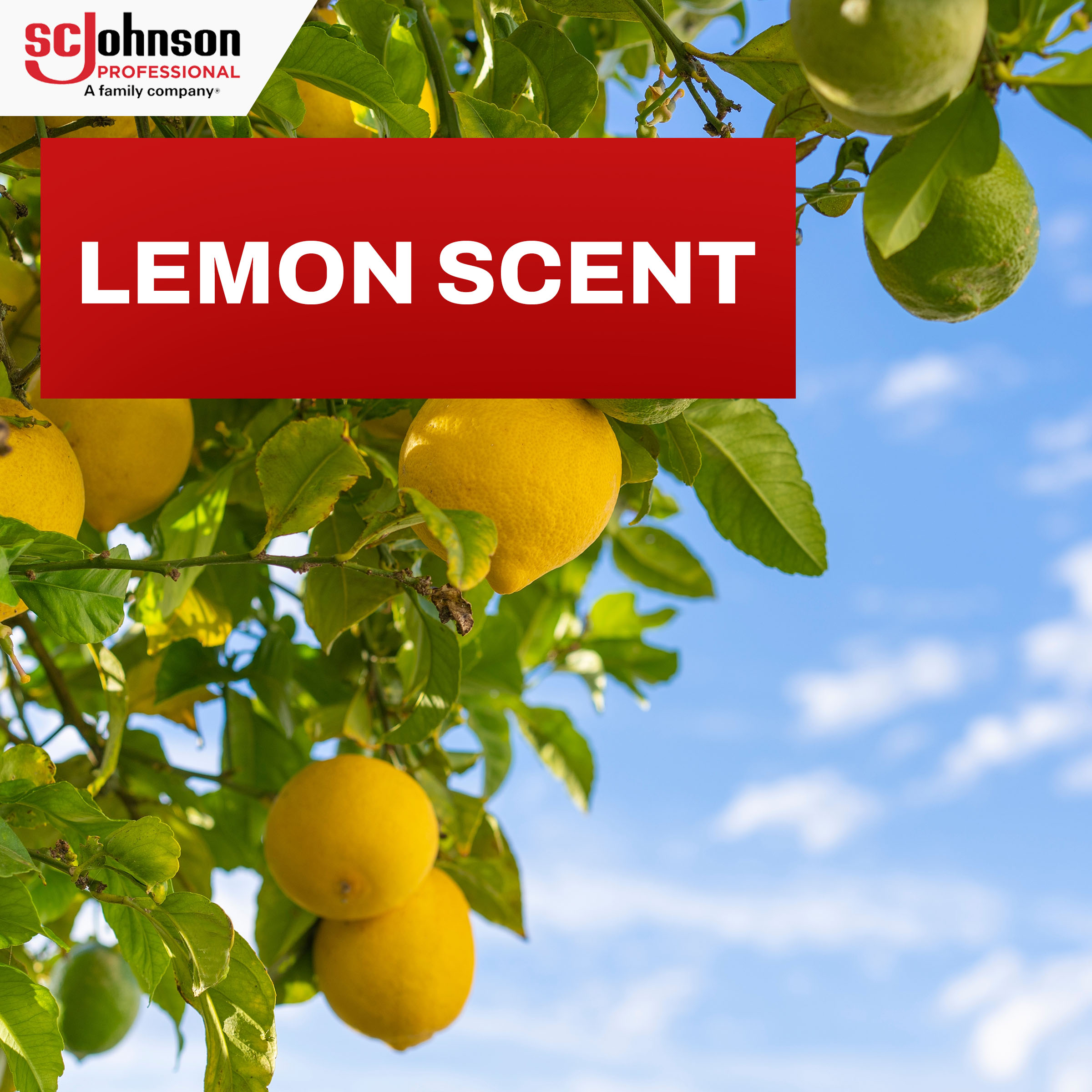 Pledge® Lemon Dust & Allergen Furniture Cleaner 14.2 FLOZ Multi