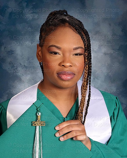 Arlington High School Seniors 24-25 - 153485