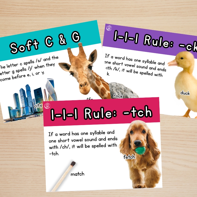 Featured Freebie