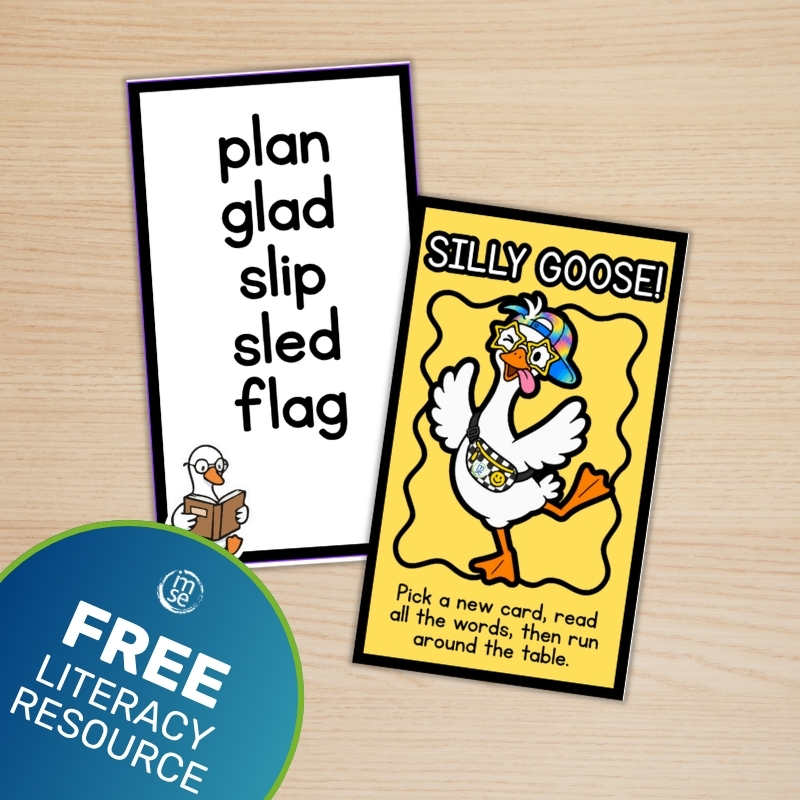 Silly Goose Game