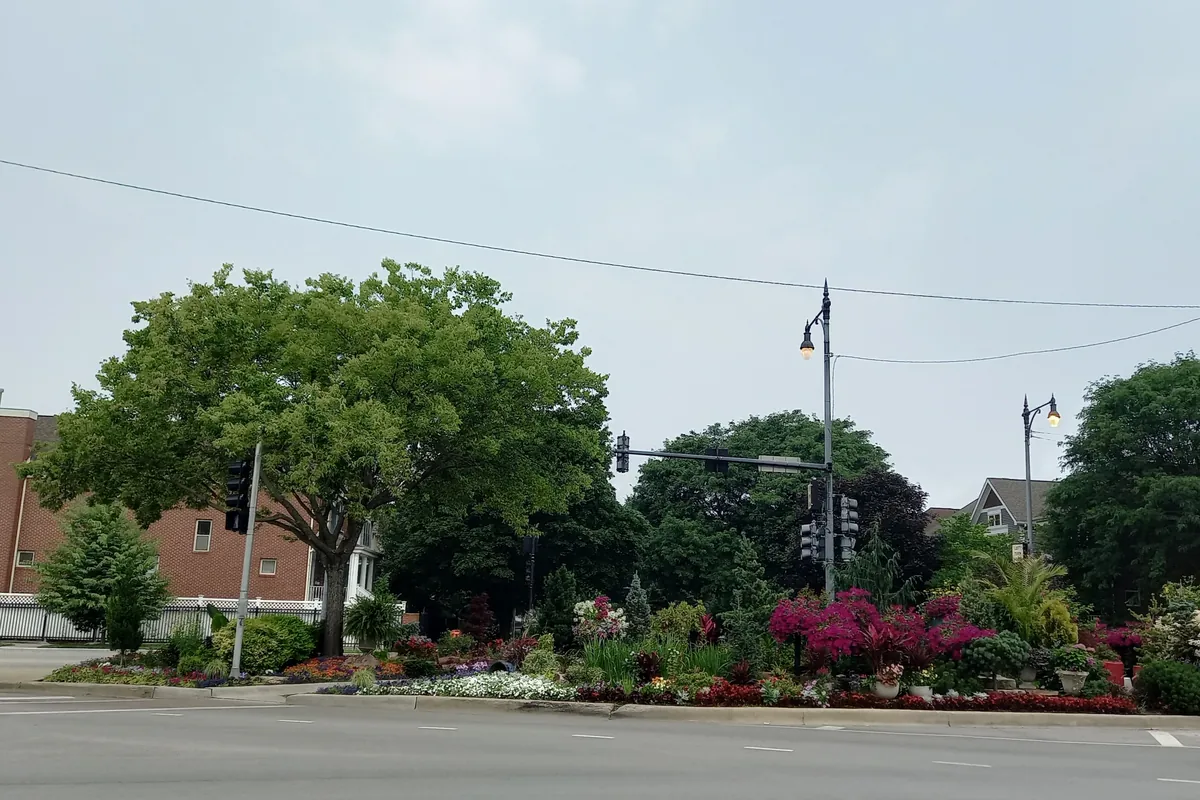 Flower beds and trees in the median where N Clark St meets N Ashland Ave in Andersonville, Chicago