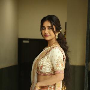 Actress Nabha Natesh Classic Saree Look With Jewellery And Natural Smile