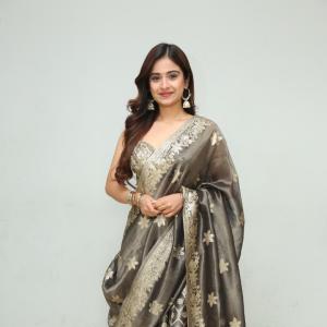 Actress Shaili Chowdary Elegant Festive Look in Designer Grey Saree
