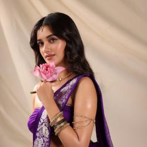 Bhagyashree Borse Shines in a Royal Purple Saree