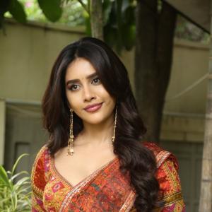 Nabha Natesh Shines in an Elegant Traditional Saree