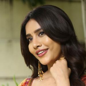 Nabha Natesh Shines in an Elegant Traditional Saree