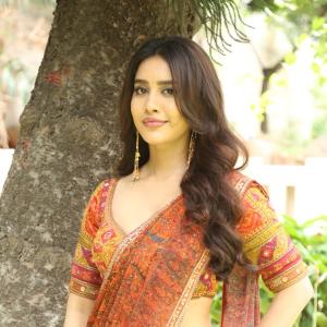 Nabha Natesh Shines in an Elegant Traditional Saree
