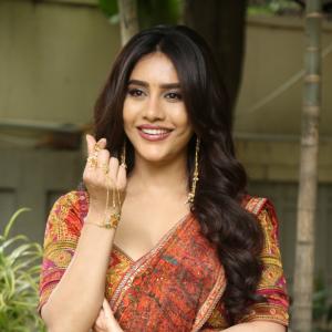 Nabha Natesh Shines in an Elegant Traditional Saree
