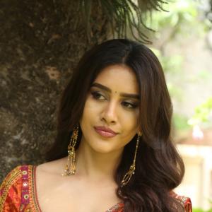 Nabha Natesh Shines in an Elegant Traditional Saree