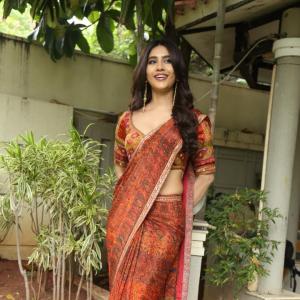 Nabha Natesh Shines in an Elegant Traditional Saree