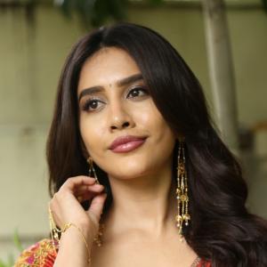 Nabha Natesh Shines in an Elegant Traditional Saree