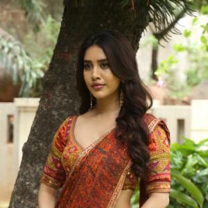 Nabha Natesh Shines in an Elegant Traditional Saree