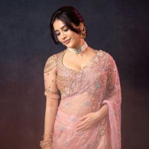 Nabha Natesh Shines in a Beautiful Embroidered Saree