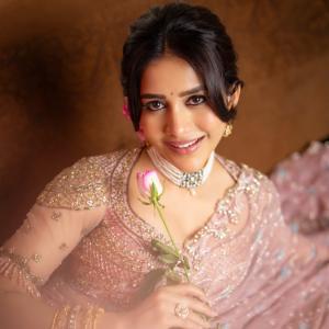 Nabha Natesh Shines in a Beautiful Embroidered Saree