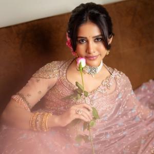 Nabha Natesh Shines in a Beautiful Embroidered Saree