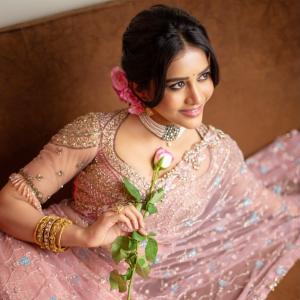Nabha Natesh Shines in a Beautiful Embroidered Saree