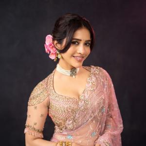 Nabha Natesh Shines in a Beautiful Embroidered Saree