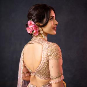 Nabha Natesh Shines in a Beautiful Embroidered Saree