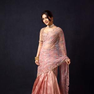 Nabha Natesh Shines in a Beautiful Embroidered Saree