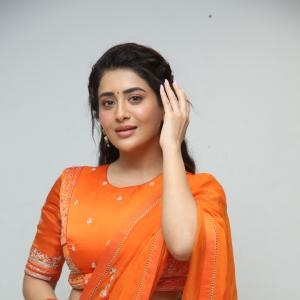 Rashi Singh Embraces Timeless Style in a Vibrant Saree