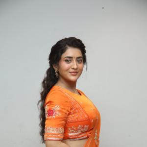 Rashi Singh Embraces Timeless Style in a Vibrant Saree