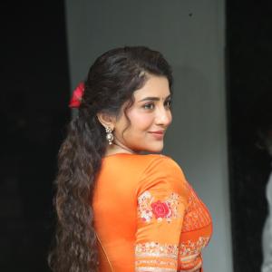 Rashi Singh Embraces Timeless Style in a Vibrant Saree