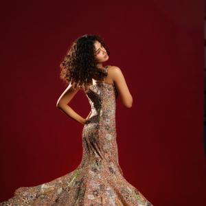 Anupama Parameswaran Stuns in a Sparkling Embellished Gown