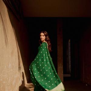 Stunning Actress Tripti Dimri in Graceful Traditional Attire