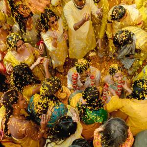 ViRosh Haldi And Holi: Vijay and Rashmika's Joyful Celebrations