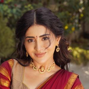 Traditional Elegance of Actress Rashi Singh in a Saree