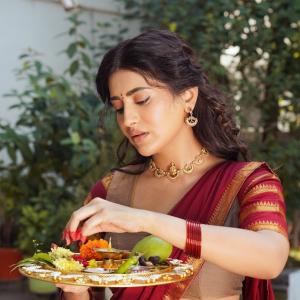 Traditional Elegance of Actress Rashi Singh in a Saree