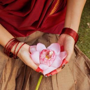 Traditional Elegance of Actress Rashi Singh in a Saree
