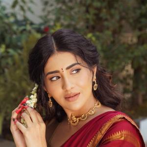 Traditional Elegance of Actress Rashi Singh in a Saree