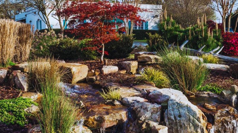 Upgrade Your Yard 4 Beautiful Alternatives to Traditional Grass