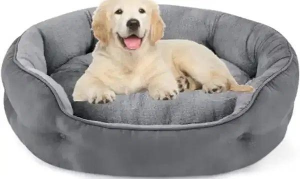 Puppy Bed for Sale in Hemkunt Colony, Delhi