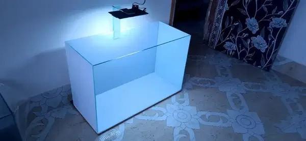 Zero Silicone Finish Aquarium & Accessories in Kolkata