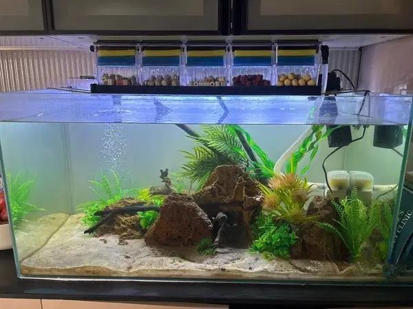Aquarium with Multi-Level Filter for Sale in Hyderabad