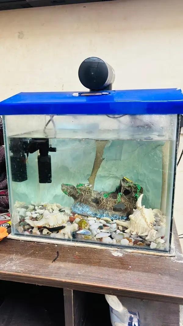 40cm Glass Aquarium with Filter, LED Light and Accessories