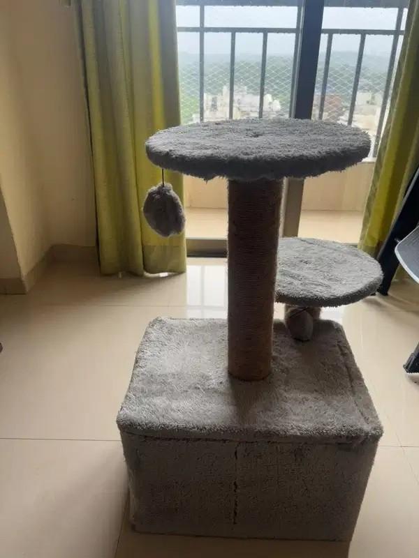 Cat Tree House for Sale in Goregaon East Mumbai