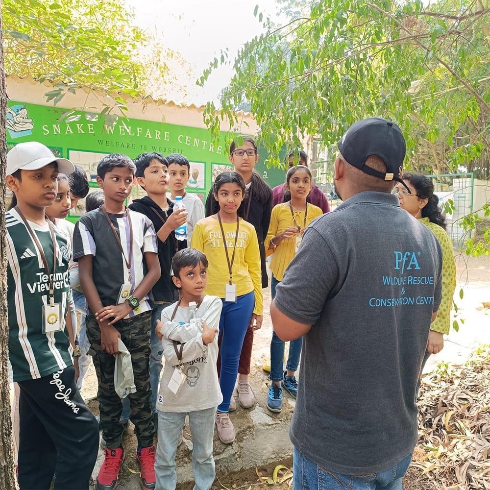 Bangalore Animal Rescue Volunteer Opportunity