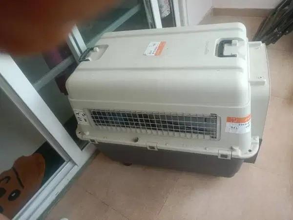 Amazon Basics Heavy-Duty Dog Flight Crate 99N in Hyderabad