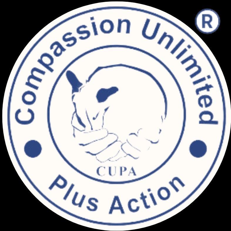 CUPA Bangalore: Animal Rescue, Adoption And Volunteering