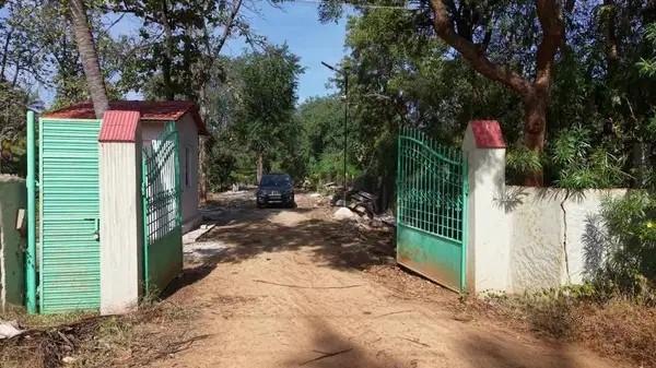 Farmland Plot For Sale In Tumakuru At Aroma Sandalo Managed Farmland