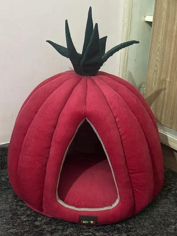 Brand New Strawberry Design Cat Bed for Sale
