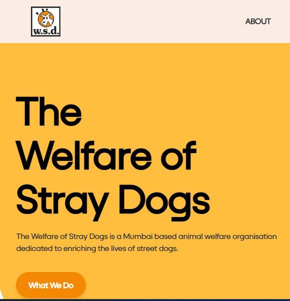 The Welfare Of Stray Dogs Fort – Volunteer & Support Animal Rescue