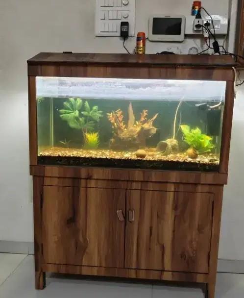 3.5 Feet Fish Tank with Wooden Storage Cabinet for Sale