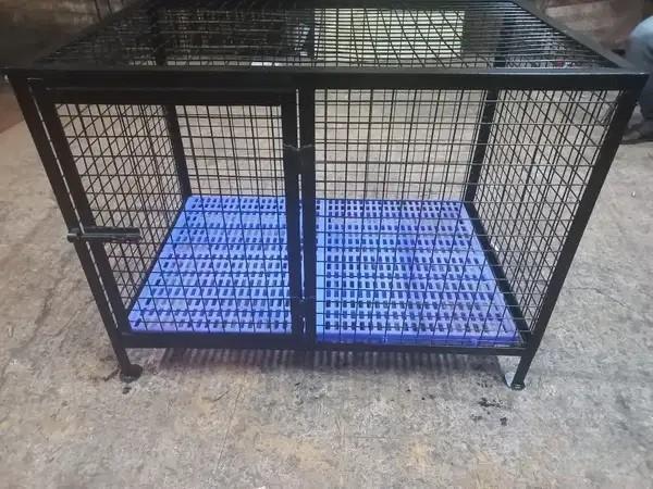 Dog Cages and Kennels for Sale Near JP Nagar Bengaluru