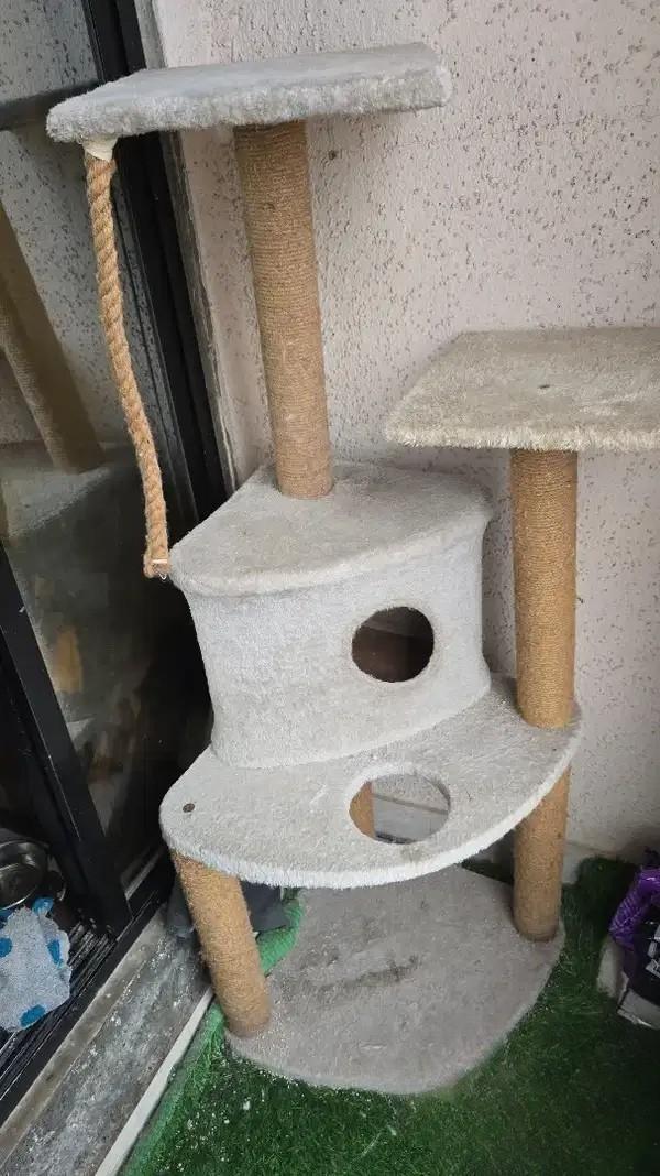 Huge Cat Tree House for Sale on Kanakia Road Mumbai