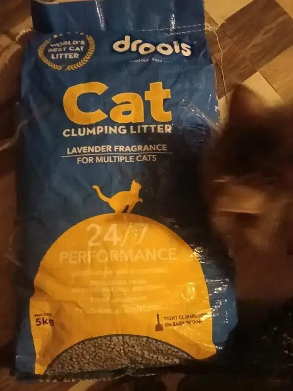 Drools Cat Litter 10kg for Sale in Valmiki Nagar Mumbai